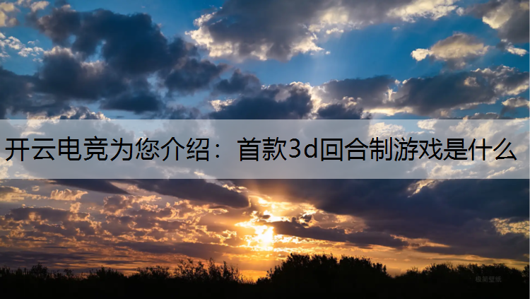 首款3d回合制游戏是什么